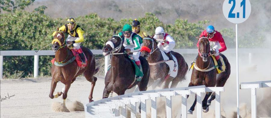 Cinco cavalos e jóqueis contornam a curva junto ao marco de 2.100 metros na pista de areia do Aquiraz